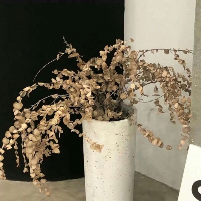 Furry绘画构图技巧福瑞群